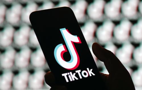 TikTok Announces New Impressionism Filter 